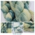Seaglass